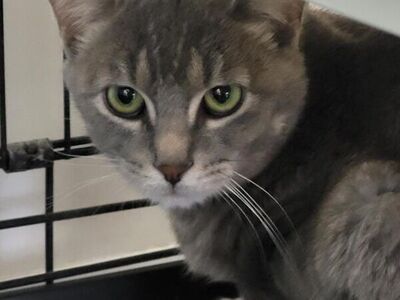 Hello my name is Redford