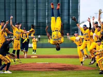 Savannah Bananas 1 ticket $60