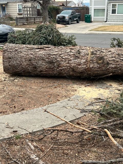 Fire wood, Free and lots of it....Orem