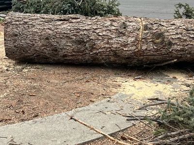 Fire wood, Free and lots of it....Orem