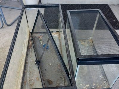 Pair of Used Glass Reptile Terrariums / Aquariums with Screen Lids
