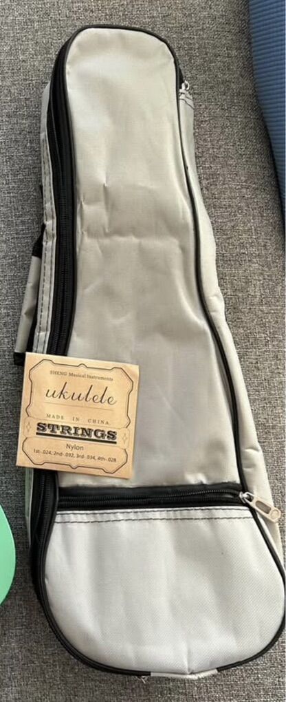 Ukelele case and extra string
