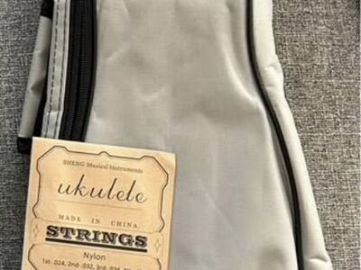 Ukelele case and extra string