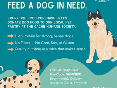 High-Protein Dog Food – 50lb $50 | NO Fillers + FREE First Delivery