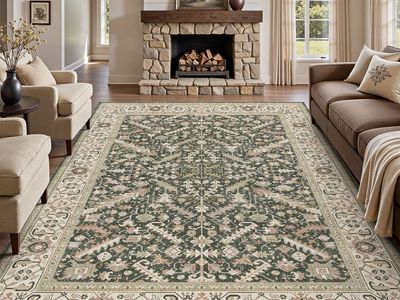 NEW 8'x10' Area Rugs for Living Room Washable Rugs Carpet Vintage Traditional Rug, Tan Green
