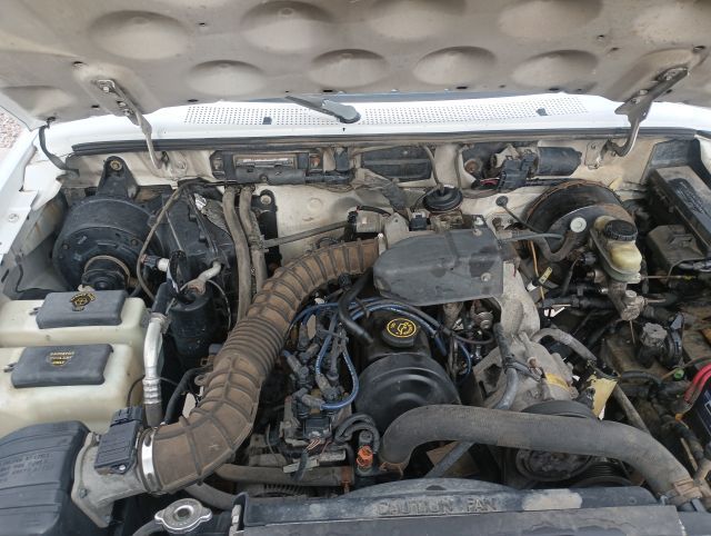 Main image 11