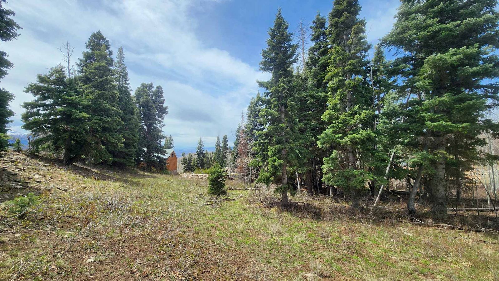 Main image 5
