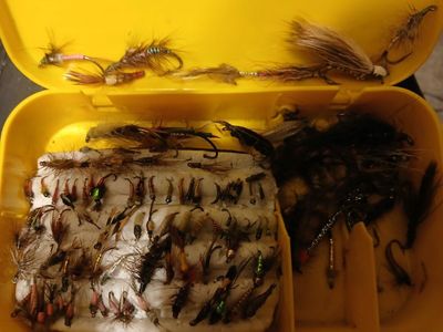 fishing flies
