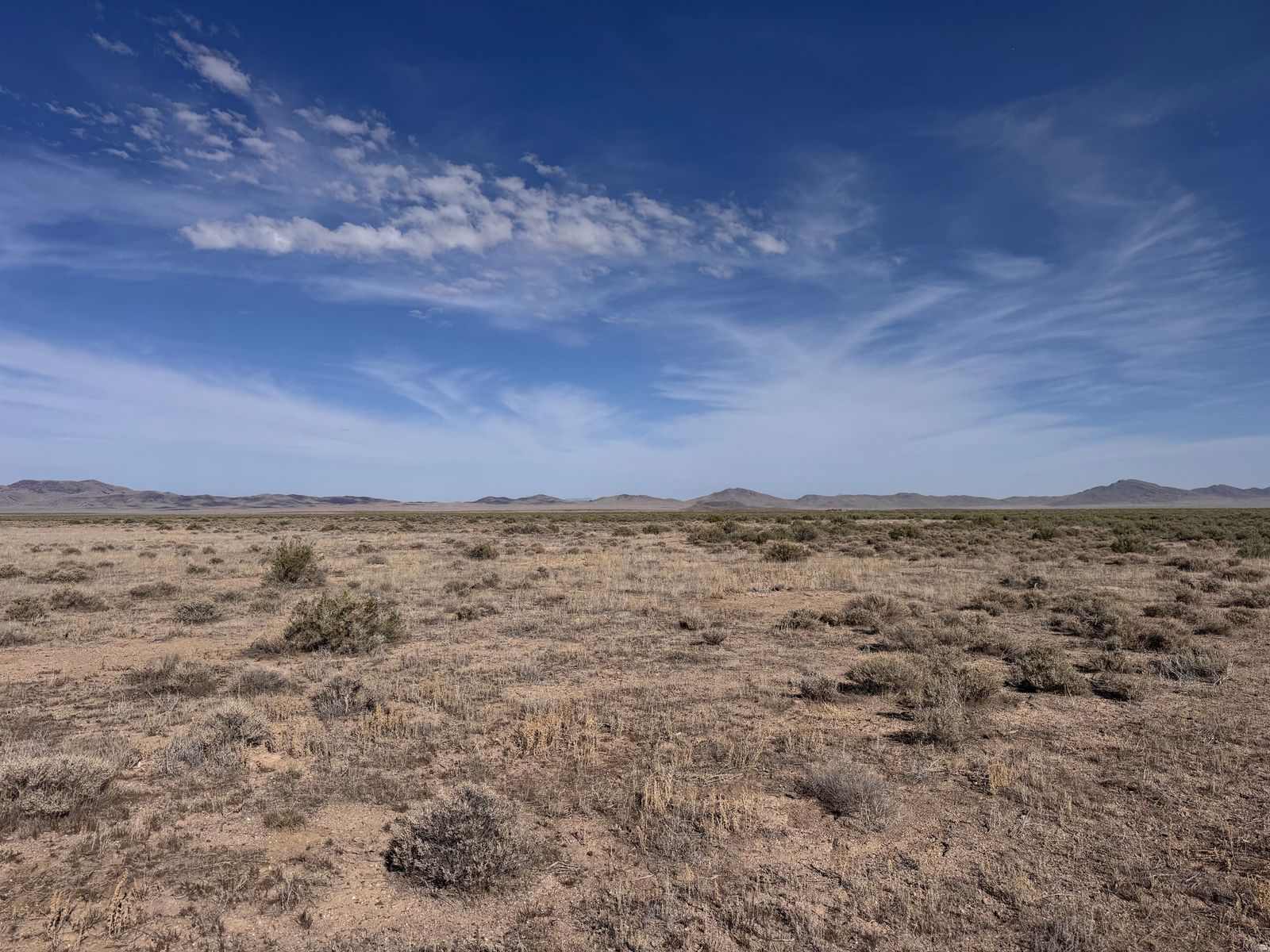 Main image 6