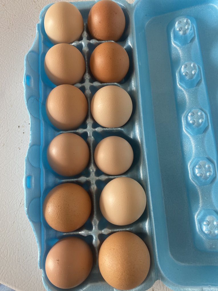 Eggs
