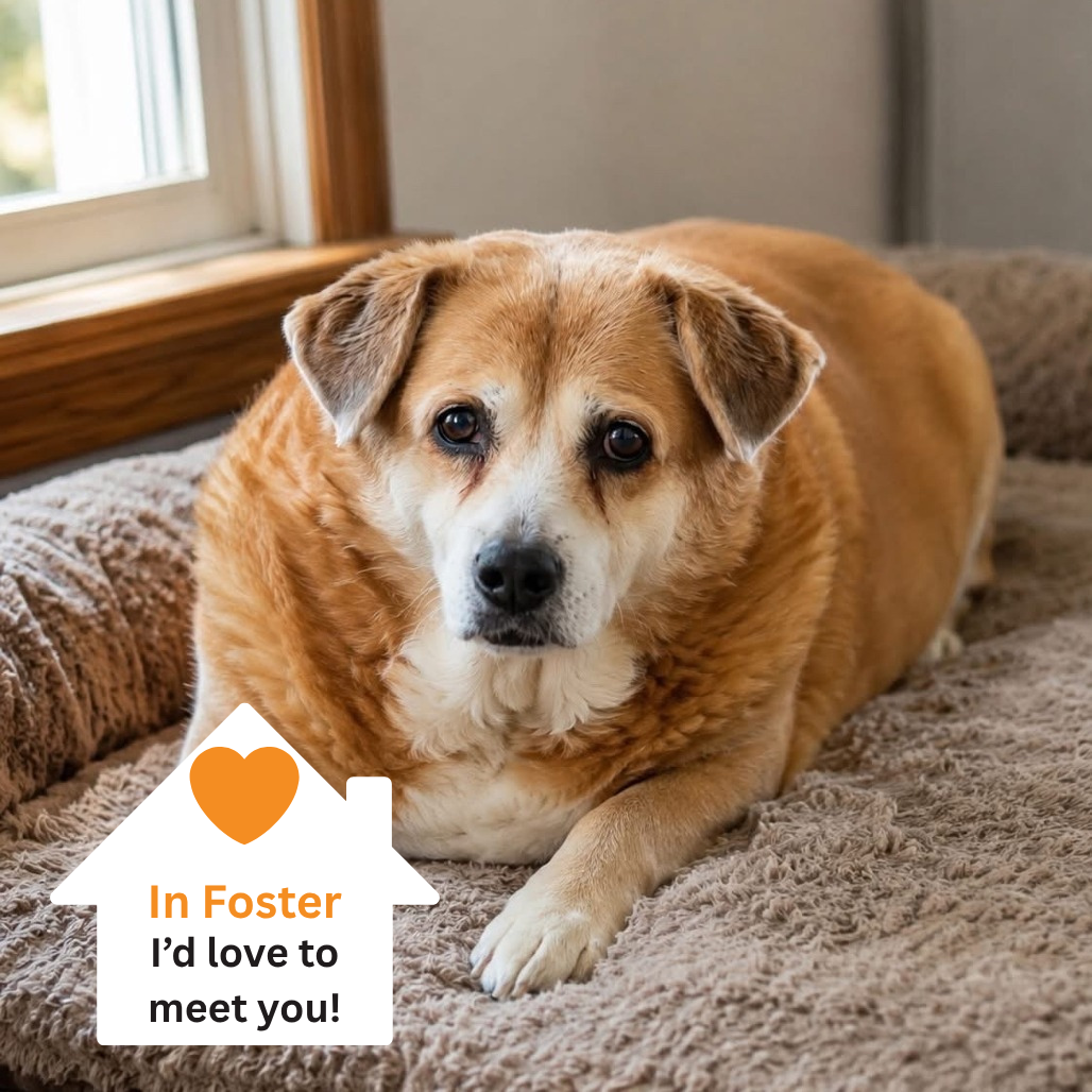 Hello my name is Ruby Rose