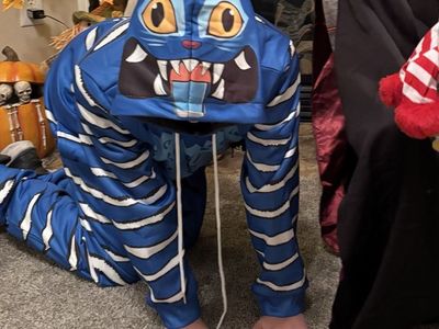 KPOP Demon Hunters Derpy Costume