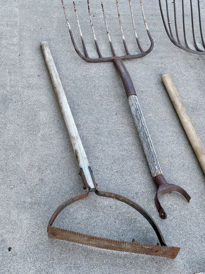 Main image 6