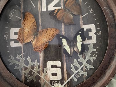 Butterfly Art