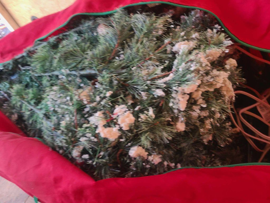 Main image 2