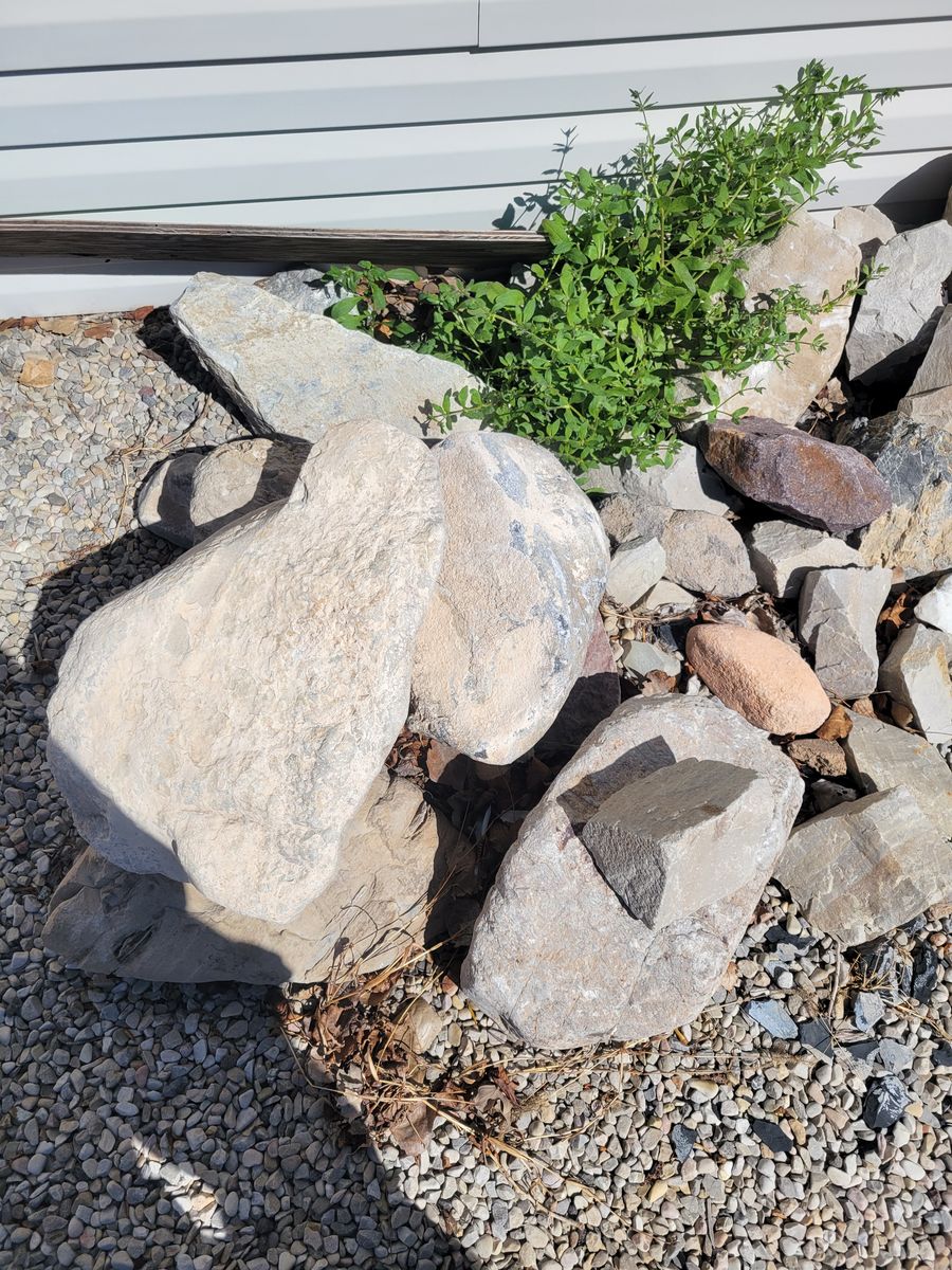 Rocks
