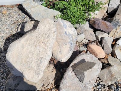 Rocks