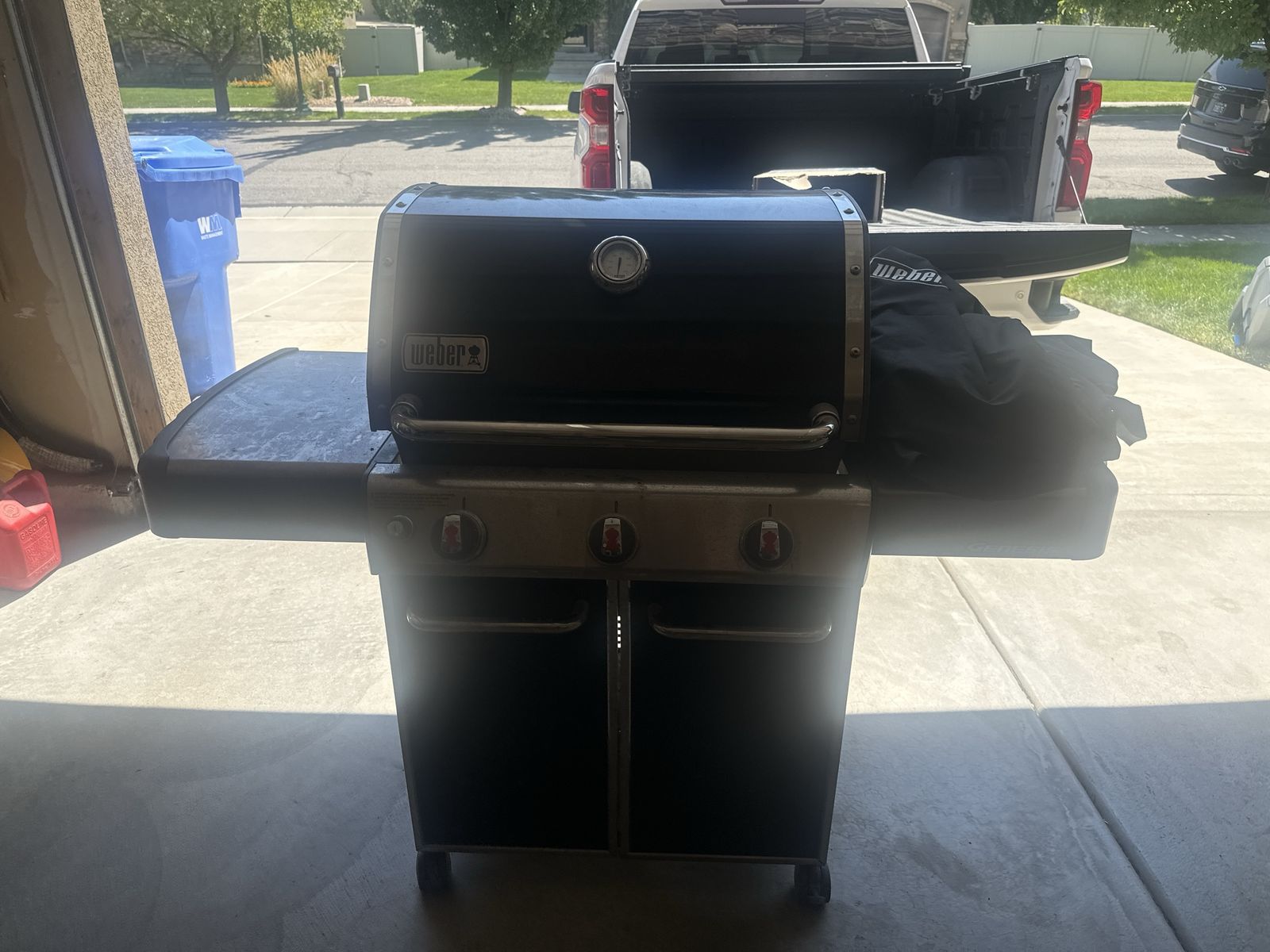 Weber Genesis Gas Grill