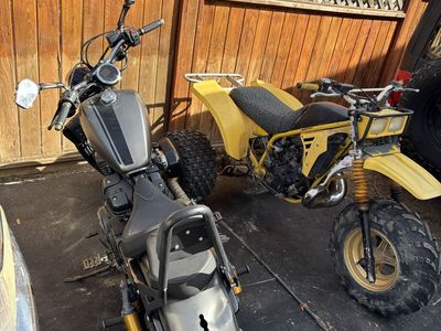 Motorcycle cruiser and atv trike bundle