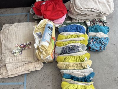 GroVia Cloth Diaper Lot with Inserts and Biosoakers