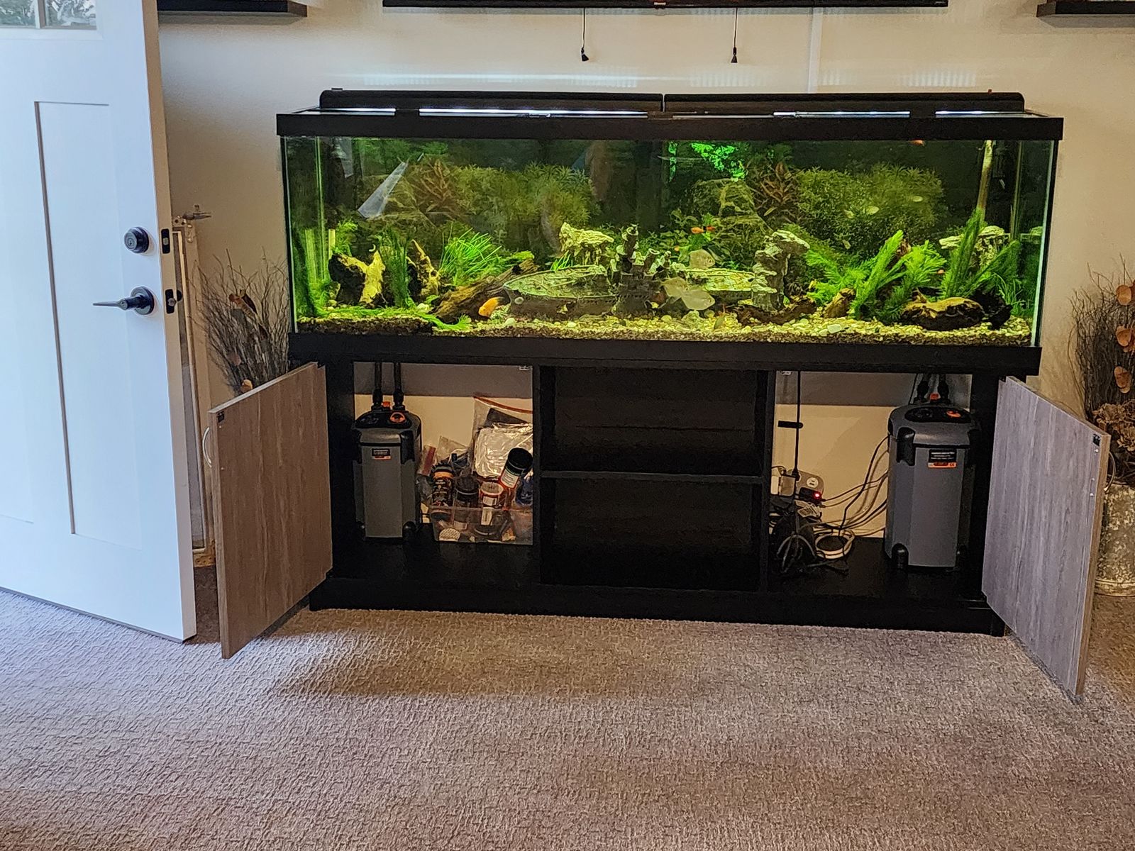 125 Gallon Fish Tank EVERYTHING Included