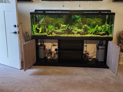 125 Gallon Fish Tank EVERYTHING Included
