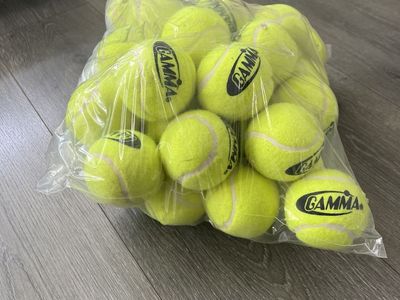 Bulk Tennis Balls Lot (Gamma) - Large Bag