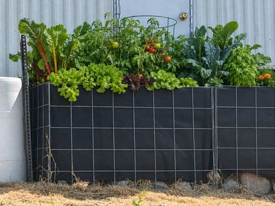 Raised flower beds; planter boxes