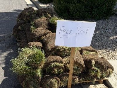 Free Sod