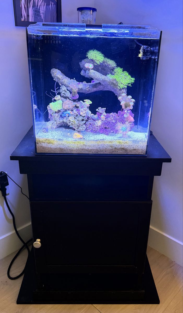 15 Gal AIO Complete Setup