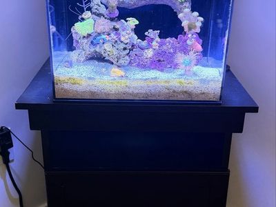 15 Gal AIO Complete Setup
