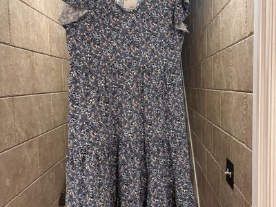 NWT Max Studio Dresses Size Large
