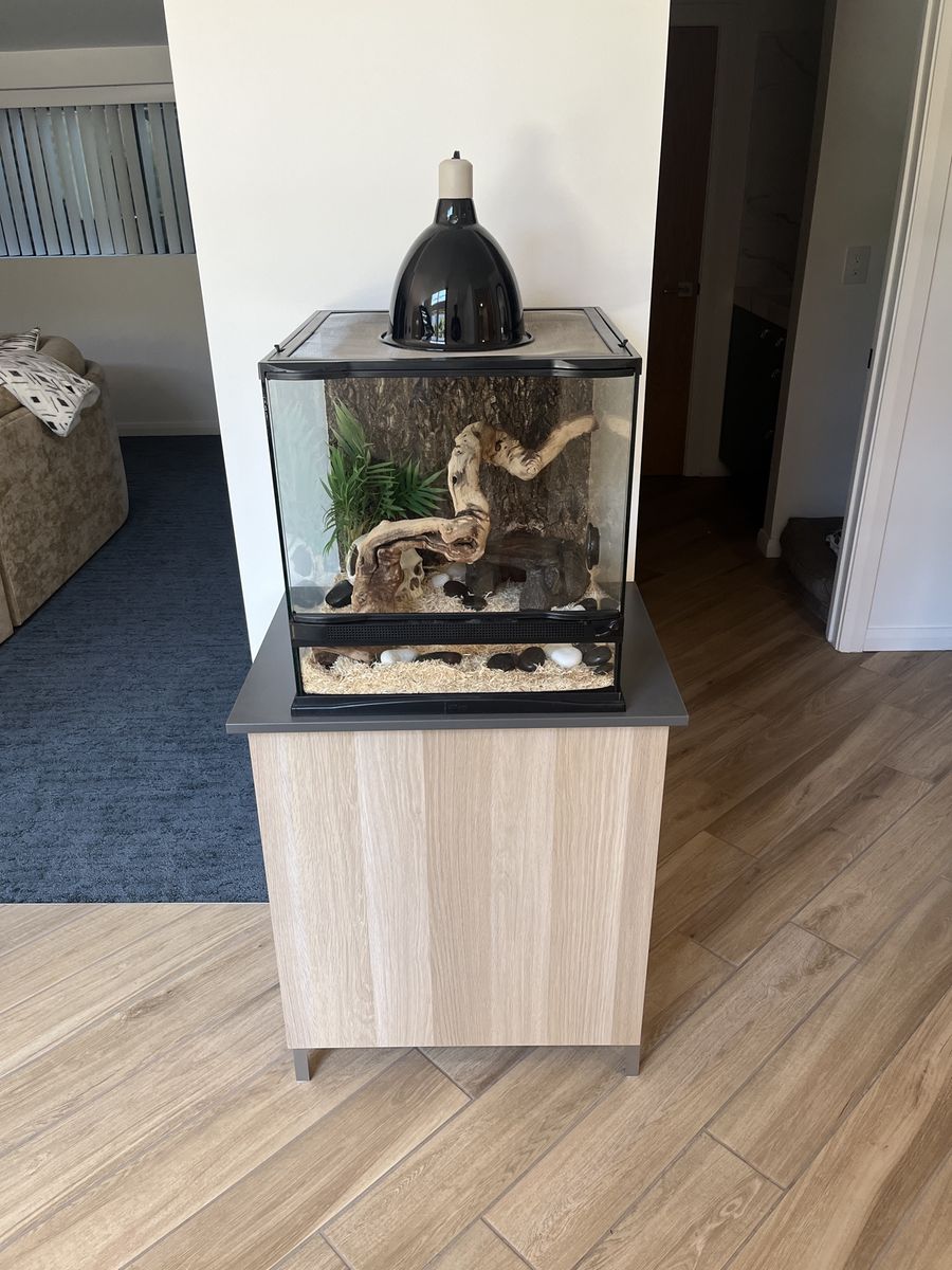 Reptile cage with cabinet - all supplies shown included