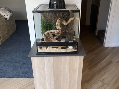 Reptile cage with cabinet - all supplies shown included