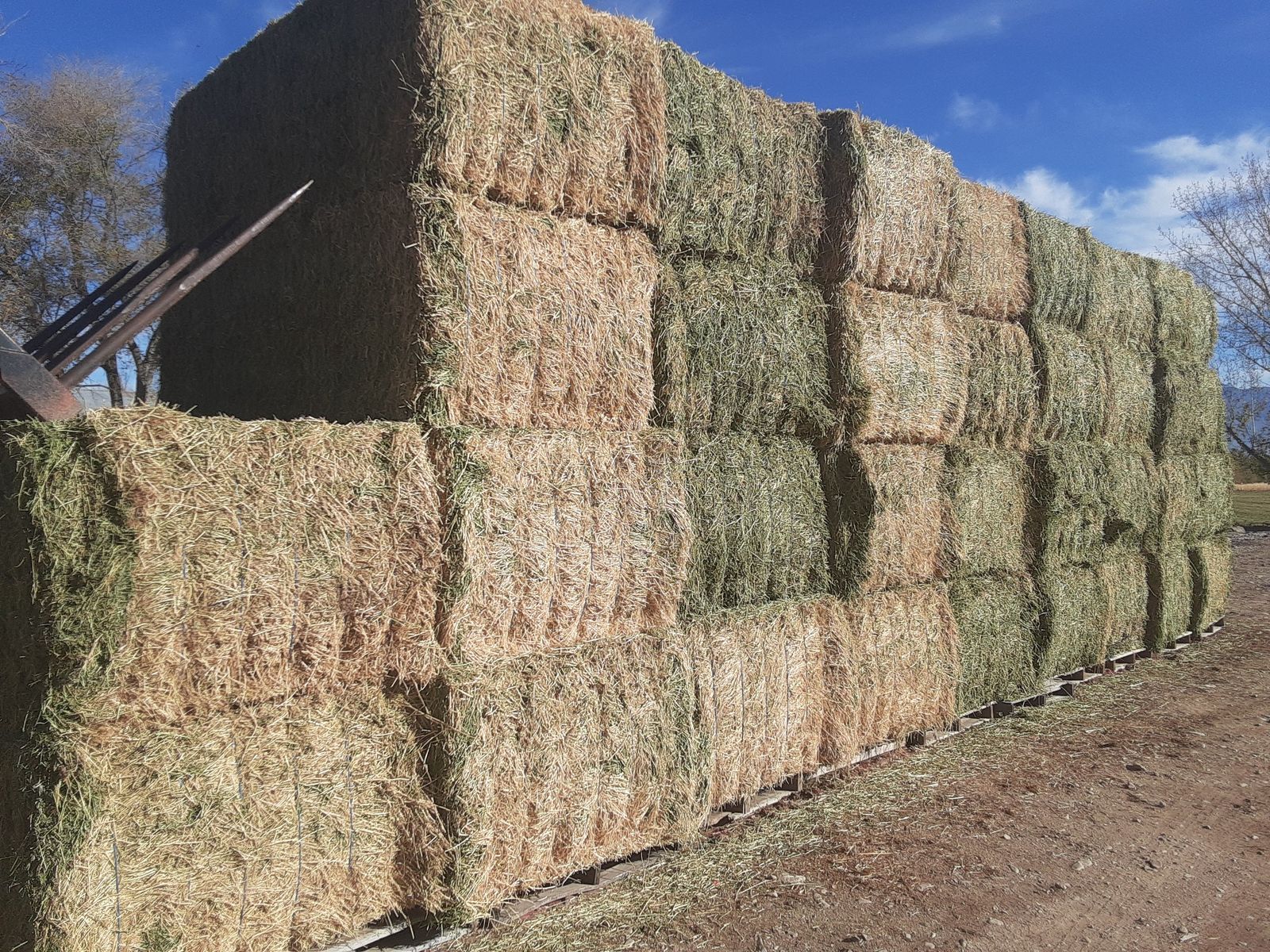 2nd Crop Alfalfa Hay