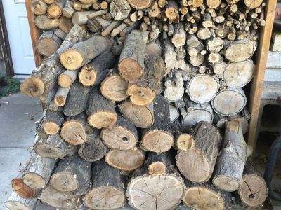 Half Cord Firewood Logs