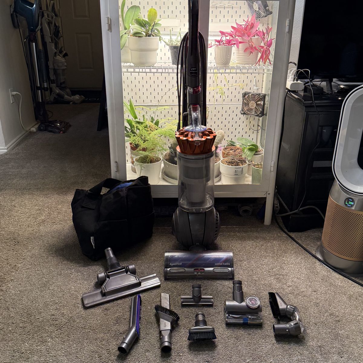 CLEAN Dyson ball animal 3 extra vacuum