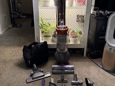 CLEAN Dyson ball animal 3 extra vacuum