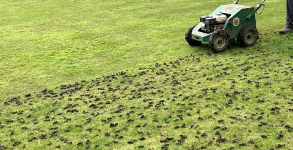 Lawn Aeration