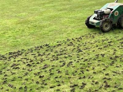 Lawn Aeration