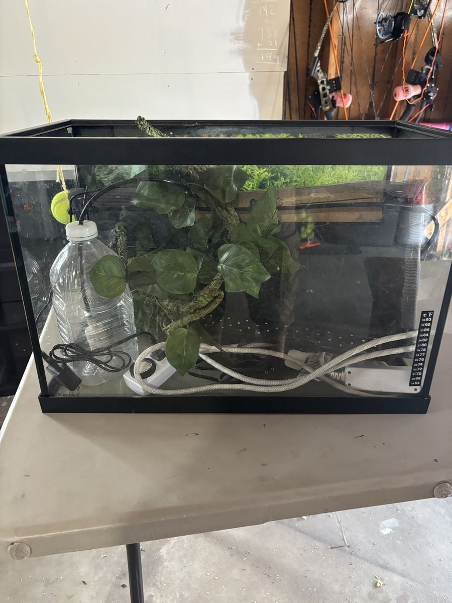 20 gallon reptile habitat