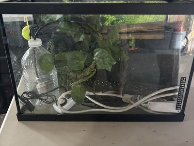 20 gallon reptile habitat