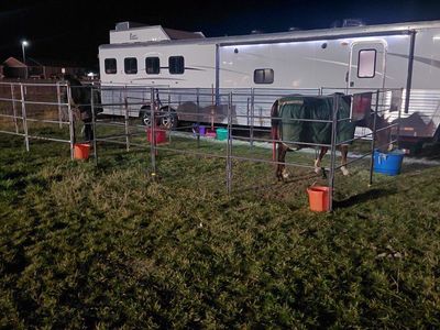 Portable Horse Panels