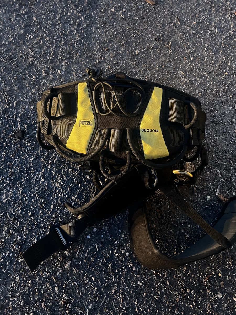 Petzel Sequioa Tree Climbing harness / addle