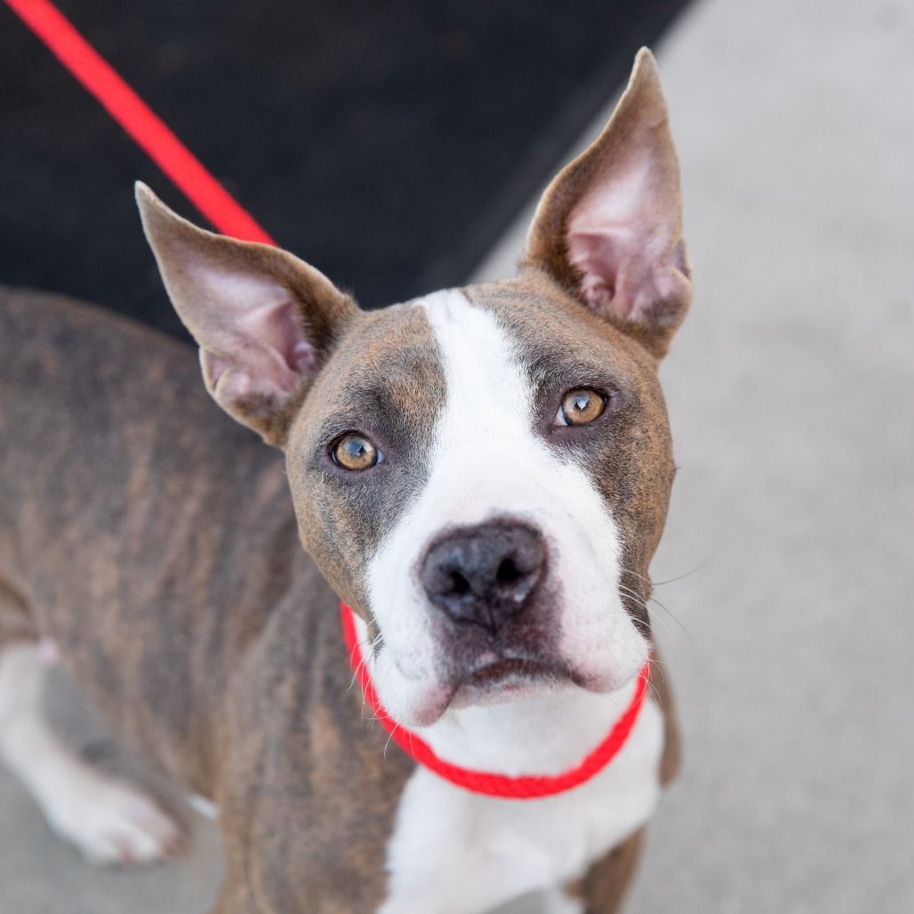 Hello my name is Willow