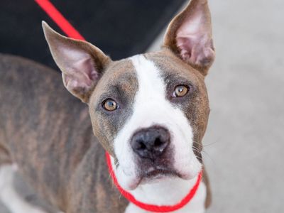 Hello my name is Willow