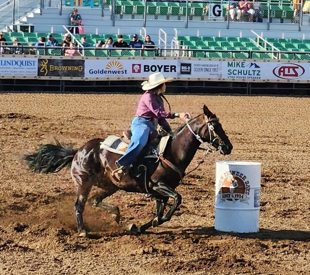 Amazing 13 Yr Old Mare