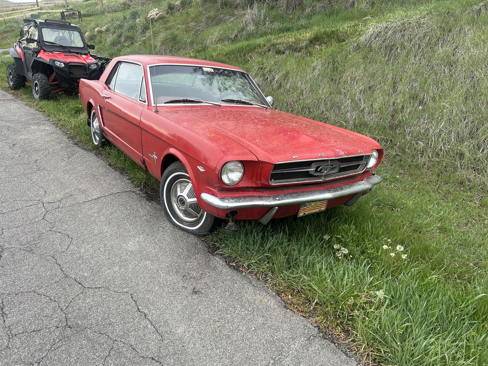 1964 mustang