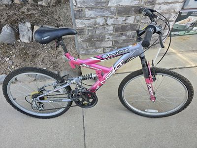 Pink Power Climber Bike that's Fueled by Attitude & 2000s Energy