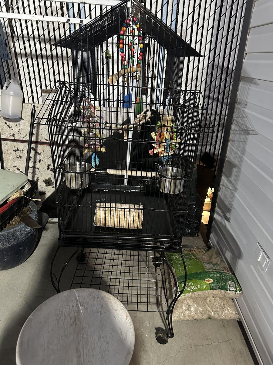 Bird Cage For Sale